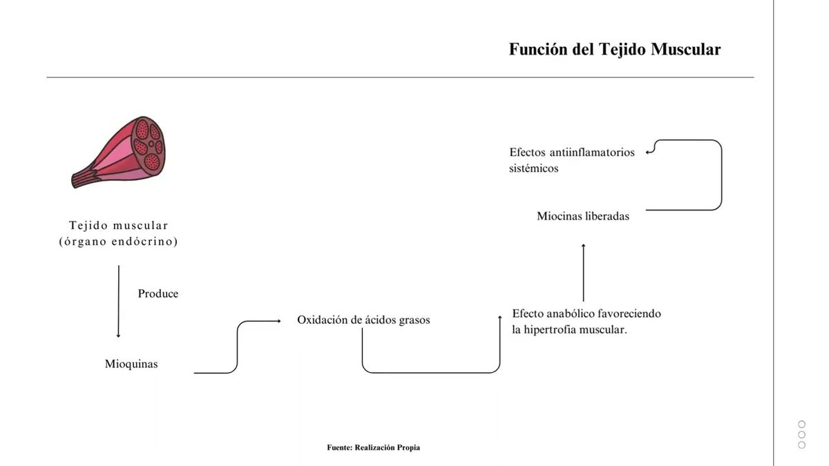 MCH063 - Impacto de las Dietas Cetogénicas, Vitamina D y Omega-3 en Pacientes Con Sobrepeso y Obes…