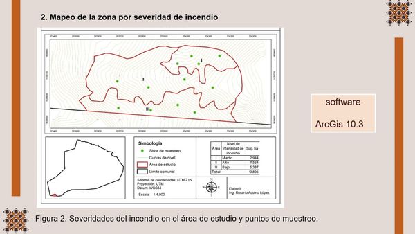 FRE063 - Efectos Post-Incendio a un Suelo de Bosque de Pino-Encino en la Sierra Sur de Oaxaca