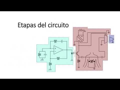 MOR404 - Utilización del Método de Bioimpedancia Eléctrica para la Obtención de la Frecuencia R…