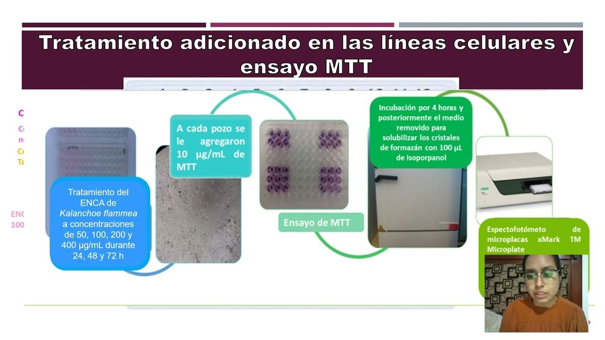 CHE083 - Efecto Citotóxico del Extracto Natural Crudo Acuoso de la Planta Kalanchoe flammea sobre …