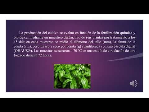 FRE125 - Producción de albahaca (Ocimum basilicum L.) con relación a la nutrición química y bi…