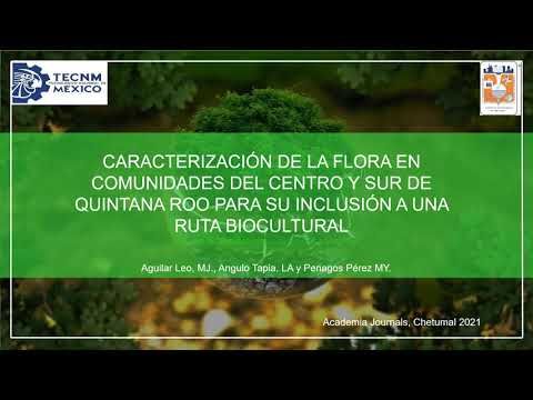 CTM060 - Caracterización de la Flora en Comunidades del Centro y Sur de Quintana Roo para su Inclu…