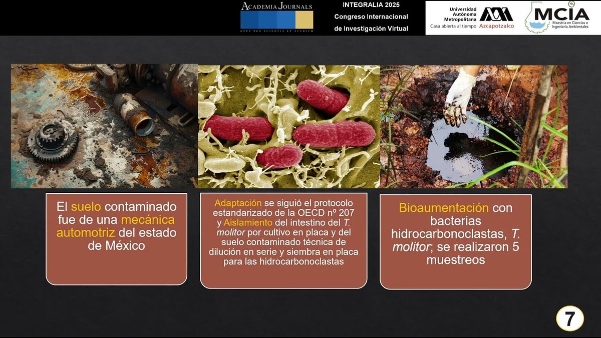 INT188- Biodegradación de Hidrocarburos en Suelo Contaminado Empleando Bacterias del Intestino de …