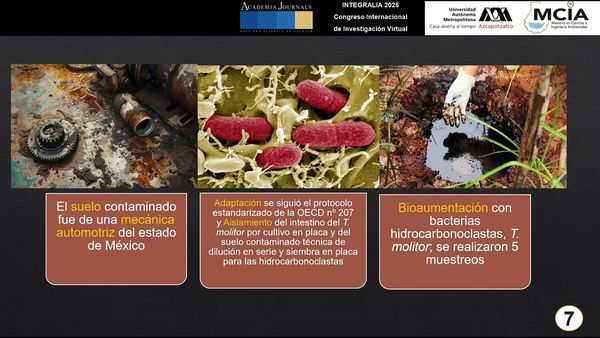 INT188- Biodegradación de Hidrocarburos en Suelo Contaminado Empleando Bacterias del Intestino de …