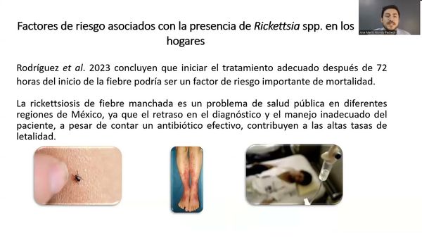 HDG298 - Panorama Mundial y en México de la Rickettsiosis y sus Vectores Transmisores: Desafíos e…
