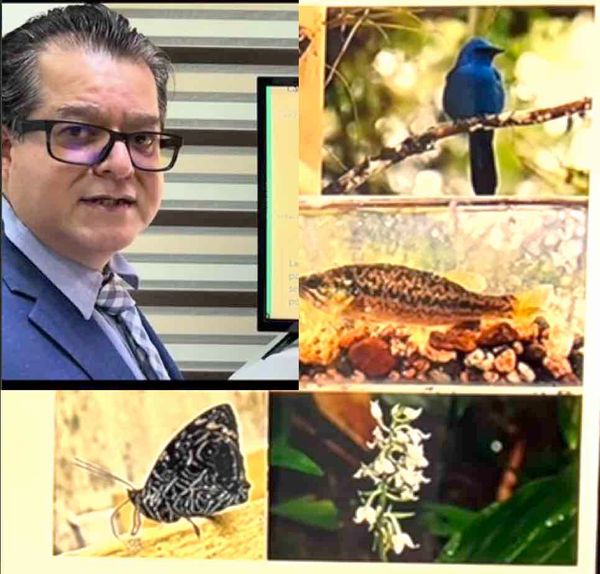 HDG182 - Cambios de Condiciones de Calidad en “La Encantada”, Perteneciente al Parque Nacional …