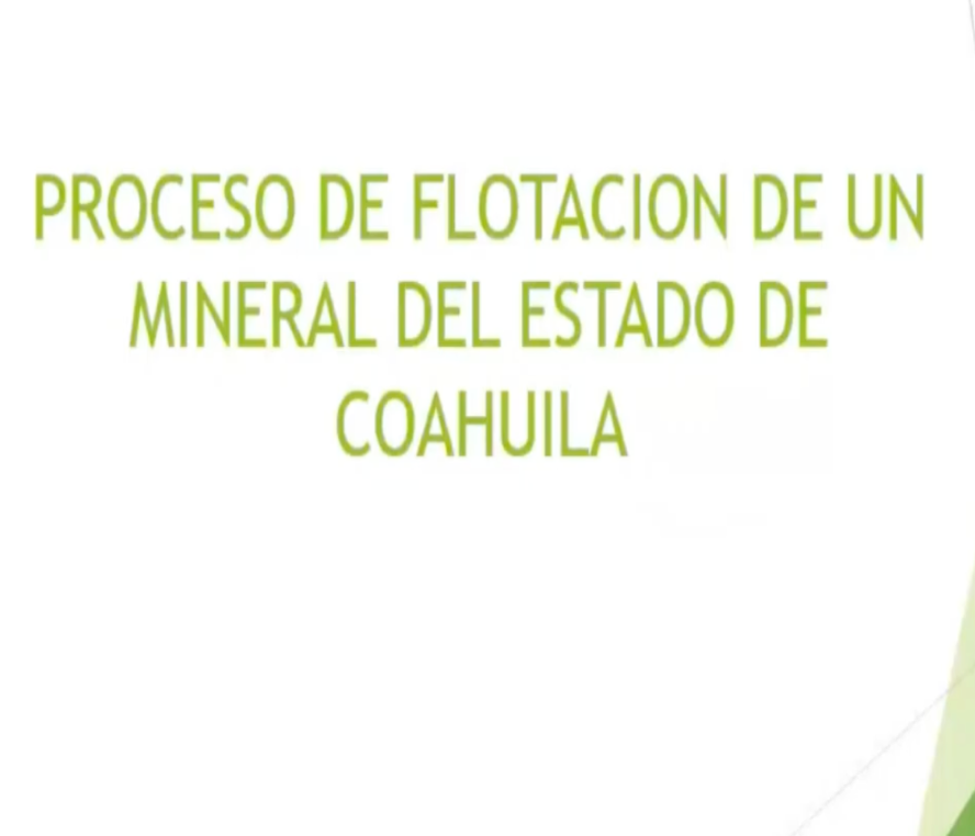 INT028- PROCESO DE FLOTACIÓN DE UN MINERAL DEL ESTADO DE COAHUILA # Integralia 2025