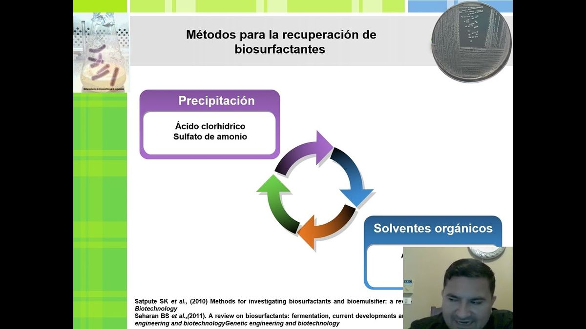 PBL268 - Aislamiento de un Biosurfactante por la Bacteria Marina Bacillus mojavensis contra Collet…