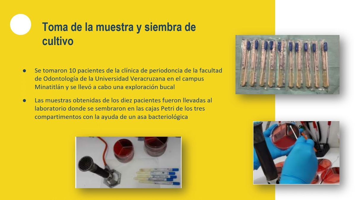 PUE089 - Evaluación in vitro del extracto de Manzanilla en la Enfermedad Periodontal