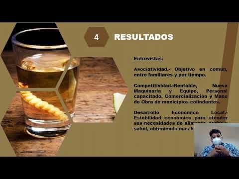 HID316 - El Desarrollo Económico Local de los Productores de Mezcal en Oaxaca: Análisis de su Aso…