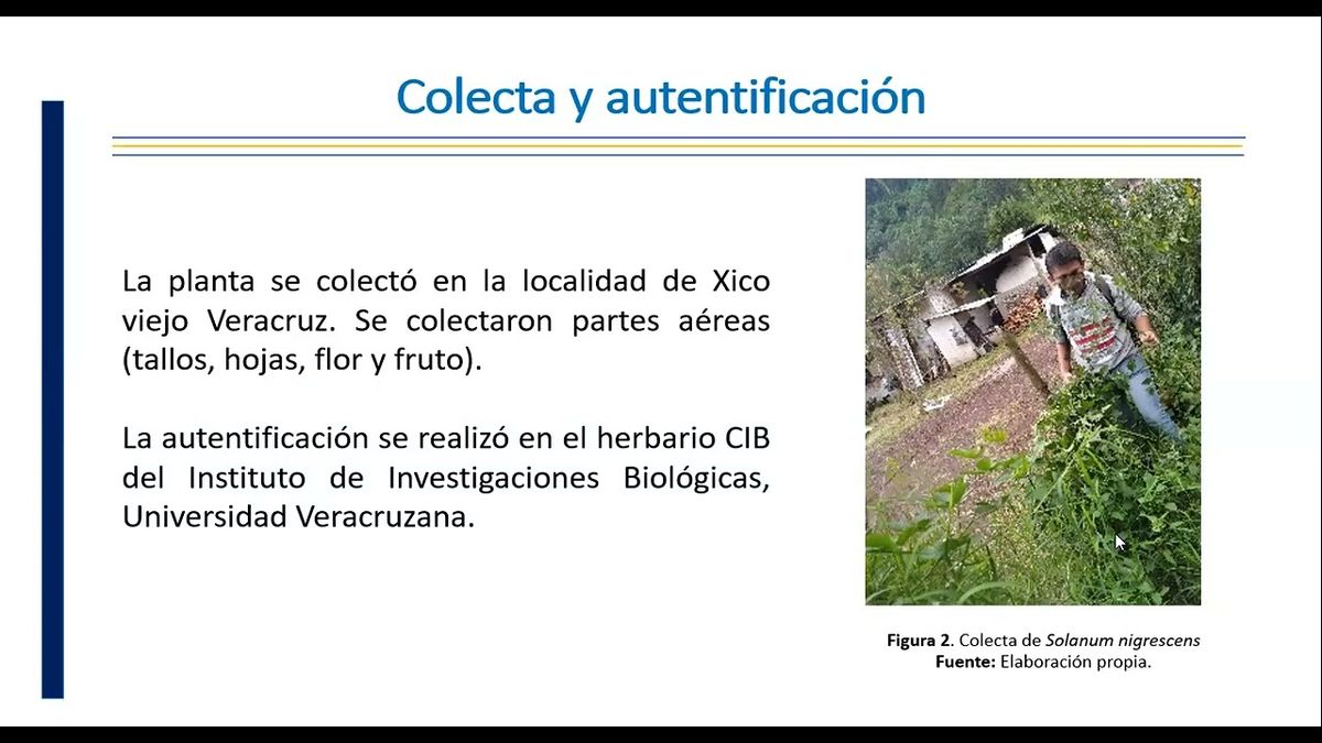 ITP139 - Evaluación Preliminar de la Toxicidad Oral Aguda de Solanum nigrescens mediante el Protoc…