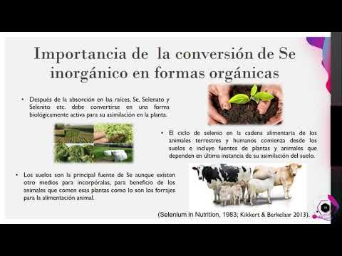 CCC-451 - EFECTO DE LA INCORPORACIÓN FOLIAR DE NANOPARTÍCULAS DE SELENIO EN EL CRECIMIENTO Y DESA…