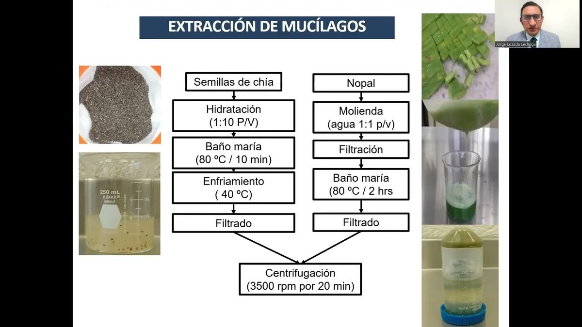 CYA172 - Optimización de la Formulación de Películas Comestibles a Base de Mucílagos de Semill…