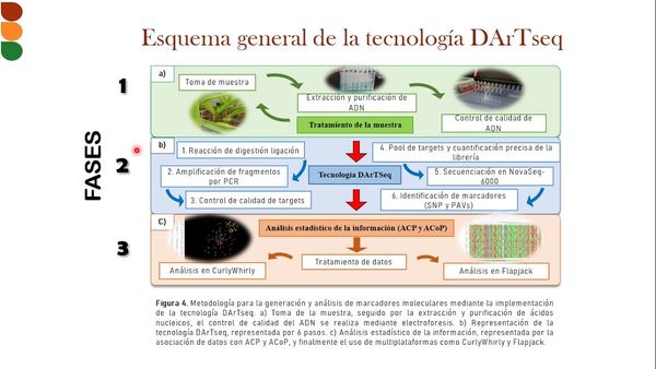 H119 - IMPLEMENTACIÓN DE LA TECNOLOGÍA DARTSEQ PARA LA IDENTIFICACIÓN DE MARCADORES MOLECULARES …