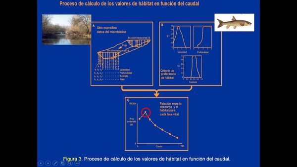 H393 - ANÁLISIS DE LA INFORMACIÓN NECESARIA PARA APLICAR LAS METODOLOGÍAS PARA LA DETERMINACIÓN…
