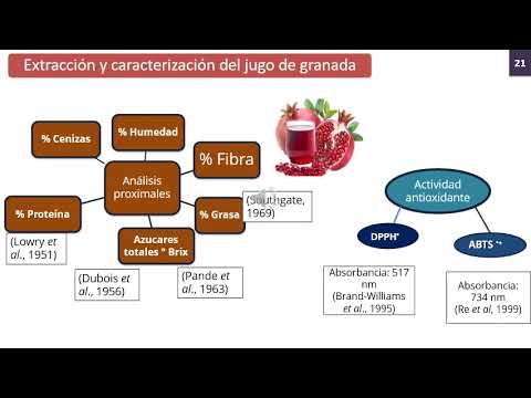 HHH032 - Elaboración de una Película Oral Refrescante a Base de Gelatina con Propiedades Antioxid…