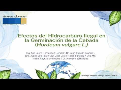 FRE067 - Efectos del Hidrocarburo Ilegal en la Germinación de la Cebada (Hordeum vulgare L.)