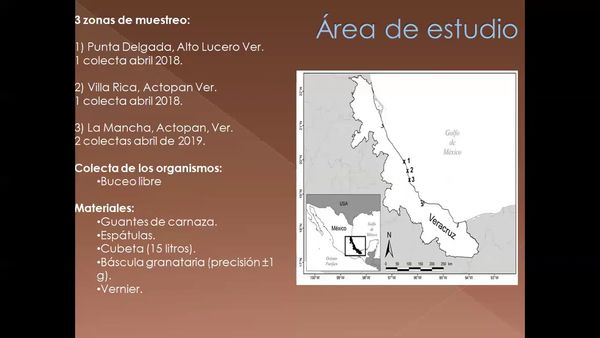 H284 - COMPARACIÓN DE LA TALLA Y PESO DE ECHINOMETRA LUCUNTER (LINNAEUS, 1785) EN TRES LITORALES R…