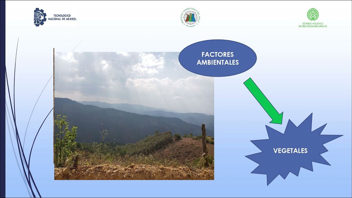 F205 - Características físicas del ambiente asociadas a poblaciones silvestres de agave en San Ba…