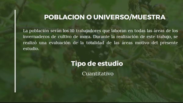 CLY457 - Identificación y Evaluación de Factores de Riesgo en las Actividades de los Trabajadores…