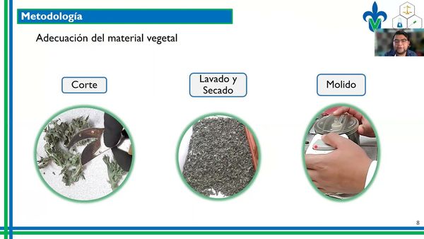 CLY329 - Actividad Antibacteriana de la Fracción Alcaloidal Presente en el Extracto Acuoso de Arge…