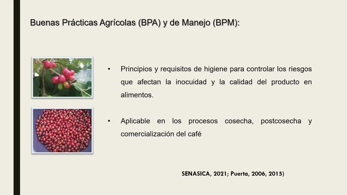 OXA117 - Adopción de Buenas Prácticas para la Producción de Café (Coffea arabiga L.) de Peque