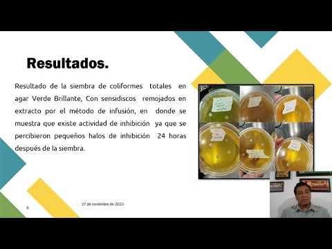 CDX037 - Identificación del Potencial Antimicrobiano de Extractos Vegetales de Plantas Endémicas…