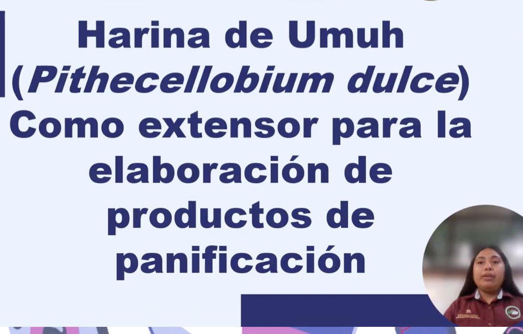 MED230 - Harina de Umuh - Ingeniería