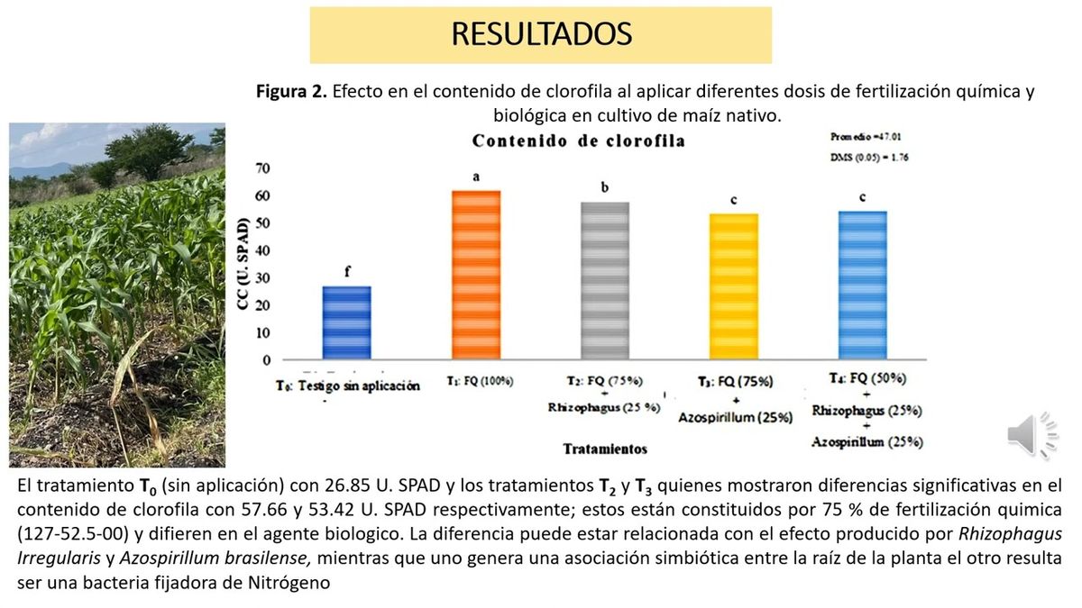 MTY085 - Efectividad de la Fertilización Biológica-Química en Cultivo de Maíz Nativo