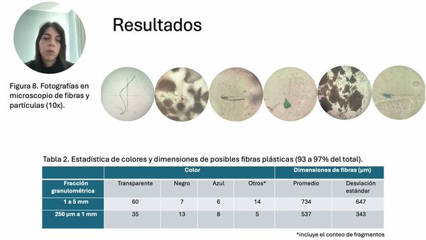 MED303 - Identificación de Microplásticos en Sedimentos de una Playa Urbana de la Isla del Carmen…