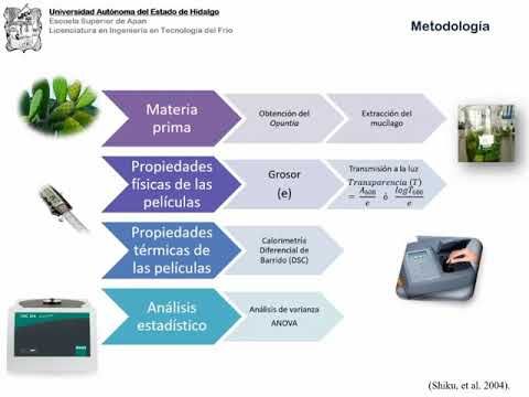 CEL384 - Efecto de Altas Concentraciones de Proteína Vegetal en la Producción de Películas Come…