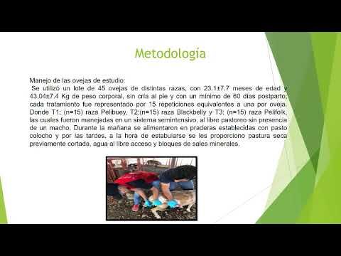 PBA062 - Estudio Comparativo de Tres Genotipos de Ovinos Sincronizados con MPA y eCG durante la Ép…