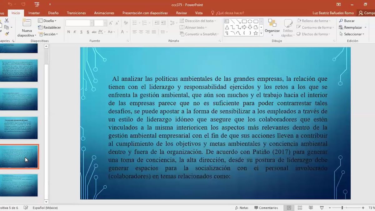 CCC-375 - APLICACIÓN DEL LIDERAZGO Y GESTIÓN AMBIENTAL EN GRANDES EMPRESAS MEXICANAS