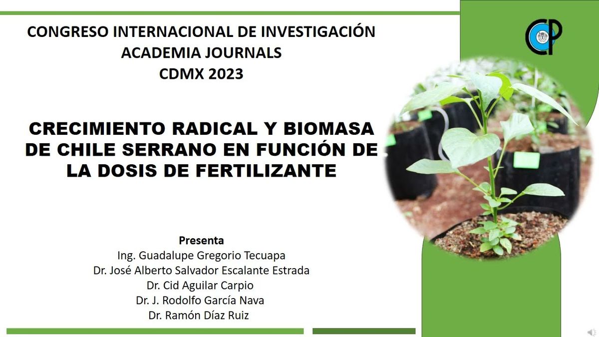 CDX371 - Crecimiento radical y biomasa de chile serrano en función de la dosis de fertilizante