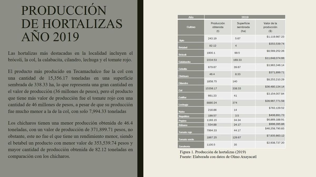 CTM188 - Análisis de la Producción y Comercialización de Hortalizas en el Municipio de Tecamacha…