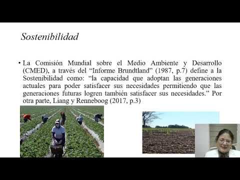 MED374 - La Gestión de la Sostenibilidad en la Industria del Sector Agrícola en Sonora