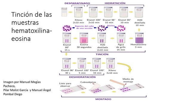 CCC-105 - BIOCOMPATIBILIDAD DE LOS MATERIALES NANOESTRUCTURADOS HIDROXIAPATITA, SILICA Y ALUMINA