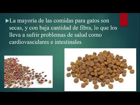 MOR270 - Elaboración de Croquetas para Gatos a Partir de Harina de Pescado Tipo Carpa y Harinas de…