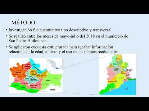 OAX026 - Uso de Plantas Medicinales en el Tratamiento de Diabetes Mellitus en San Peddro Huilotepec…