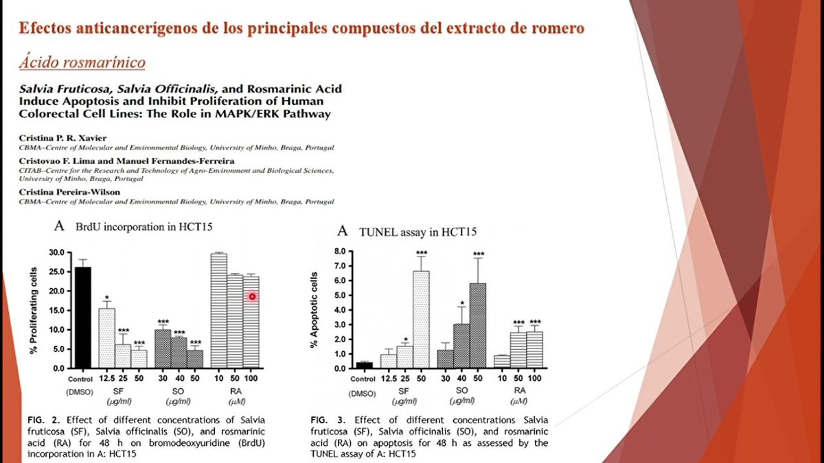 MOR346 - Los Efectos Anticancerígenos de Extractos de Rosmarinus officinalis L