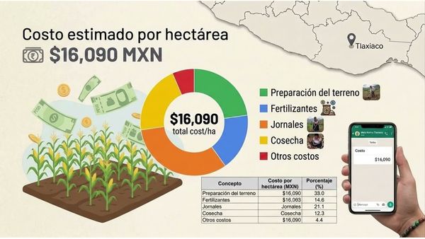 CHE033- Análisis de Costos de Producción del Maíz Nativo en Tlaxiaco, Oaxaca # Chetumal 2026