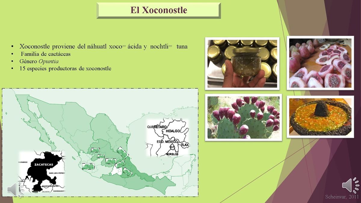 A025 - Efecto Hepatoprotector de Extracto de Xoconostle por Inhibición Enzimática de la β-Glucor…