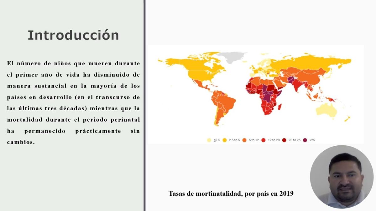 CYA217 - Principales Causas de la Mortalidad Perinatal