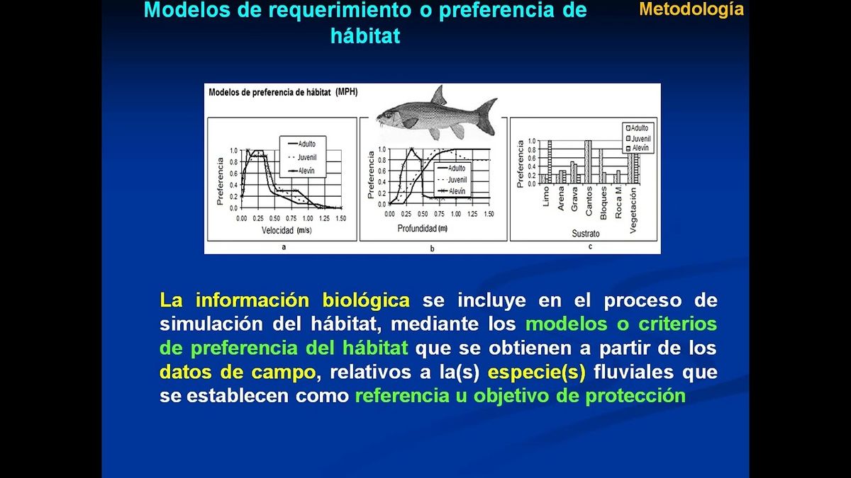 HLG271 - Los Modelos de Preferencia del Hábitat en la Determinación de los Caudales Ecológicos …