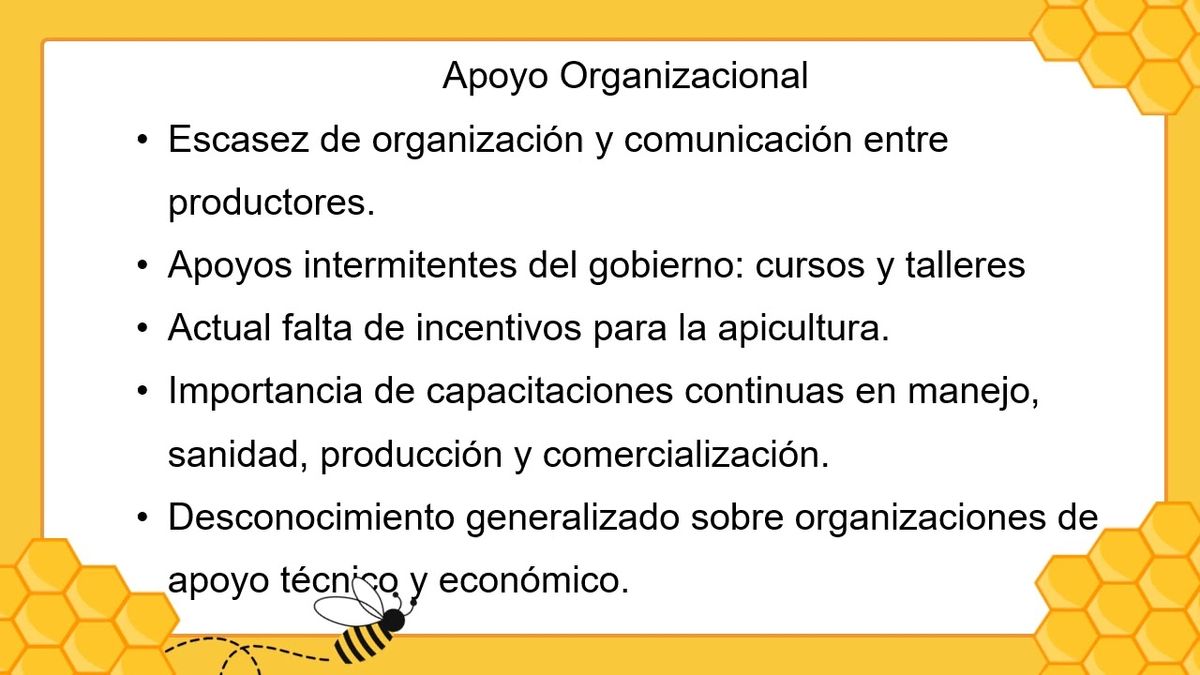 chs116 - La Apicultura en la Comunidad de La Tortolita del Municipio de Putla Villa de Guerrero, Oa…