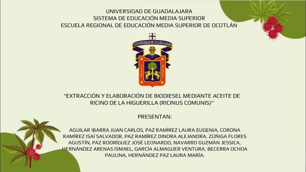 LSM003 - Extracción y Elaboración de Biodiesel mediante Aceite de Ricino de la Higuerilla (Ricinu…