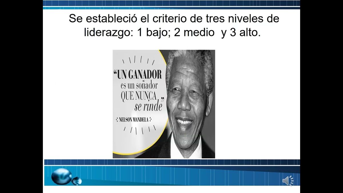 MTY144 - Liderazgo Transformacional y Transaccional en Micro, Pequeñas y Medianas empresas Amatep…