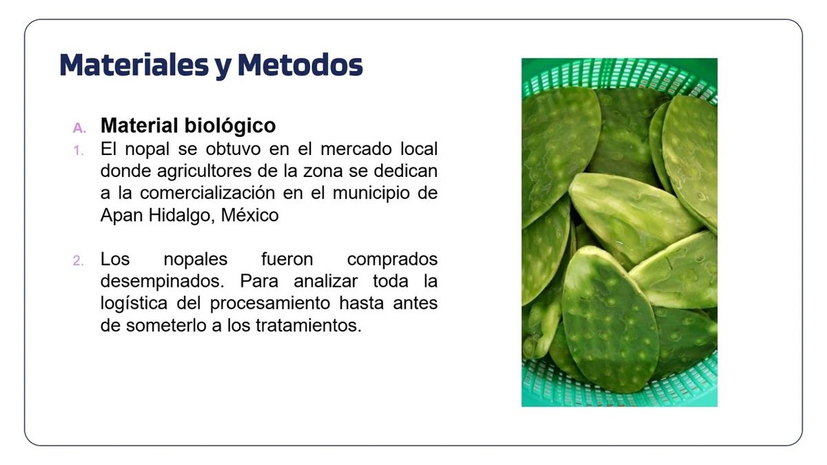 CDX218 - Estudio de la Calidad del Nopal (Opuntia ficus-indica) Sometido al Proceso de Escaldado y…