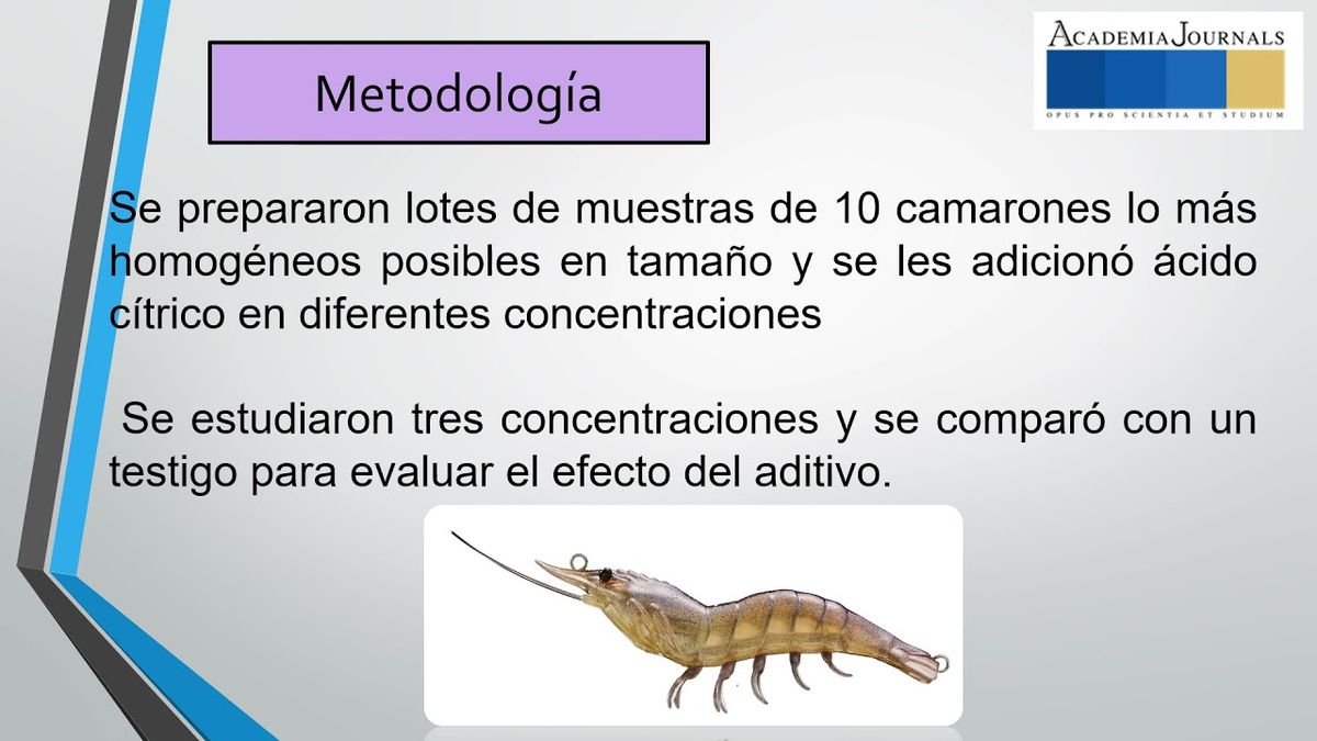 HID149 - Evaluación de las Características Organolépticas del Camarón Blanco (Litopenaeus Vanna…