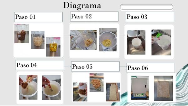 CPS018 - “Prototipo de Filtro Prensa con Bagazo de Agave (Azul Tequilana Weber), Caña de Azúcar…